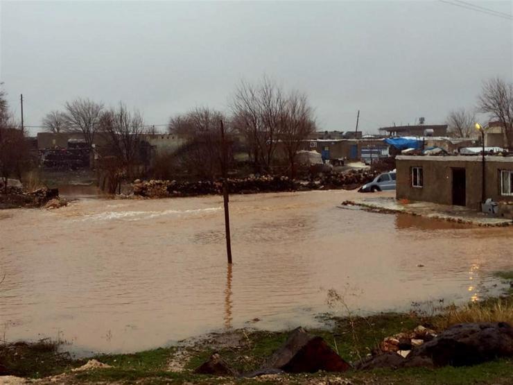 Yağmur duasından birkaç gün sonra tarlalarını su bastı