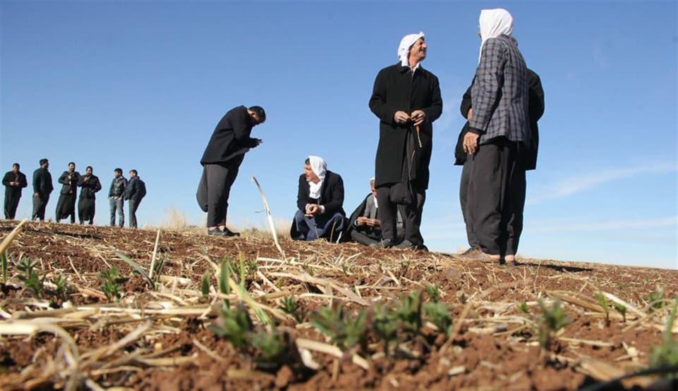 Yağmur duasından birkaç gün sonra tarlalarını su bastı