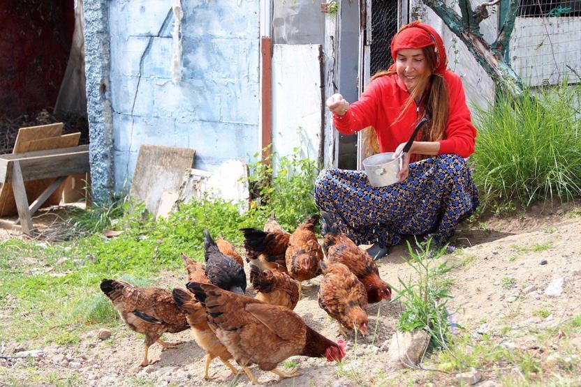 Bir zamanların ünlü mankeni Bilun Dohmen, şimdi koyun otlatıyor
