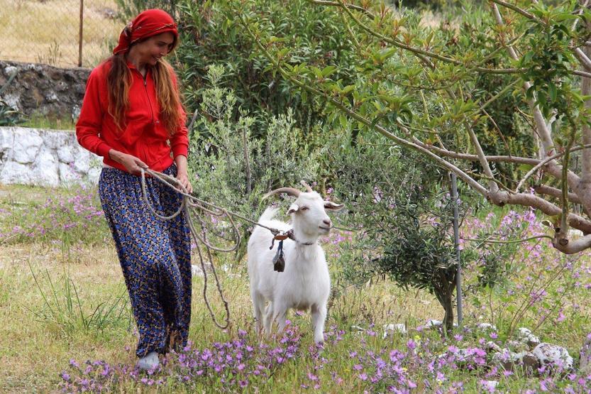 Bir zamanların ünlü mankeni Bilun Dohmen, şimdi koyun otlatıyor