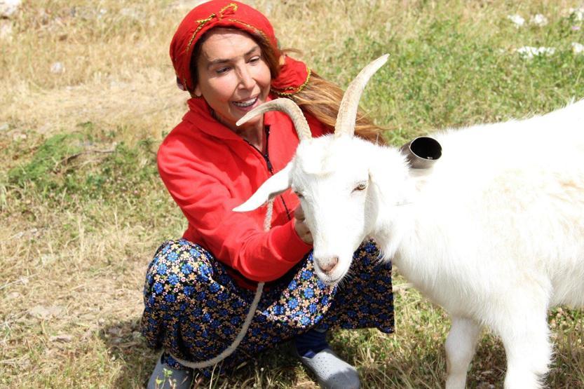 Bir zamanların ünlü mankeni Bilun Dohmen, şimdi koyun otlatıyor