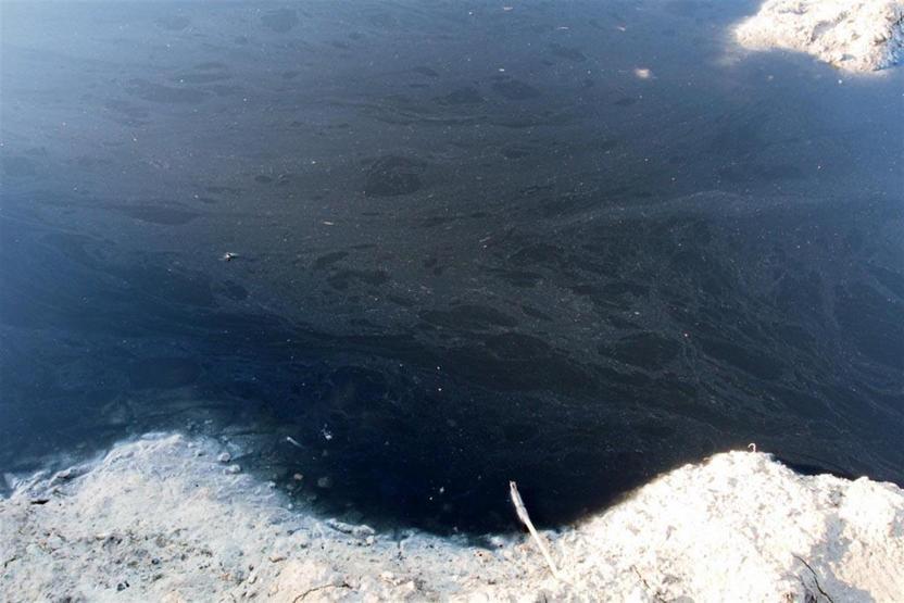 Sarımsaklı sahilinde ürküten manzara: Deniz kapkara