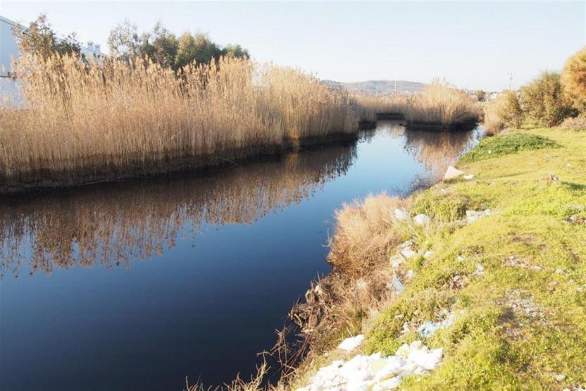 Sarımsaklı sahilinde ürküten manzara: Deniz kapkara