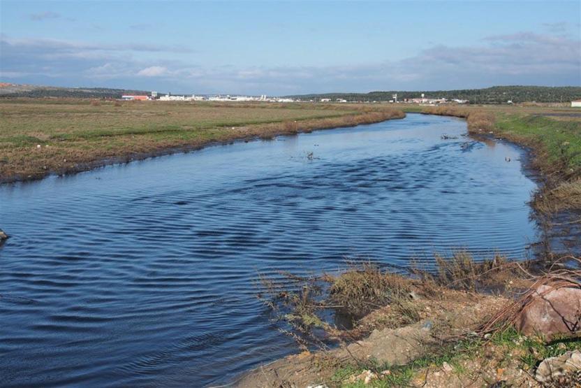 Sarımsaklı sahilinde ürküten manzara: Deniz kapkara