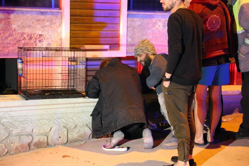 Denizlideki patlama... Tavşanı dakikalarca suni teneffüsle hayata döndürmeye çalıştı