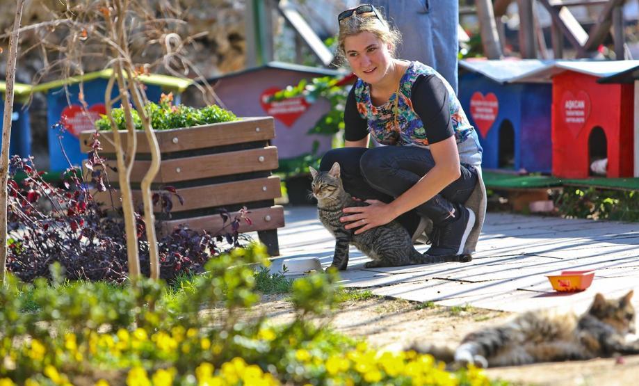 Antalyada kedi park projesi büyüyor