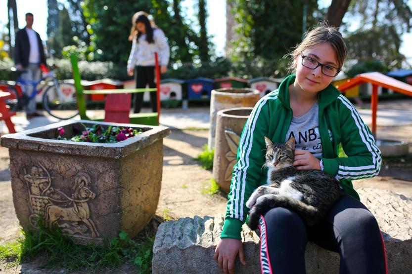 Antalyada kedi park projesi büyüyor