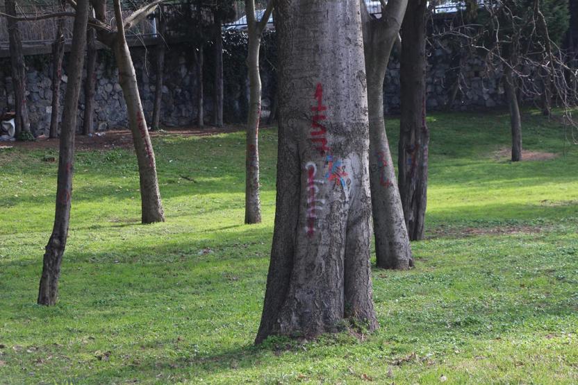 Maçka Parkının bir bölümü daha kapatıldı, ağaçlar işaretlendi