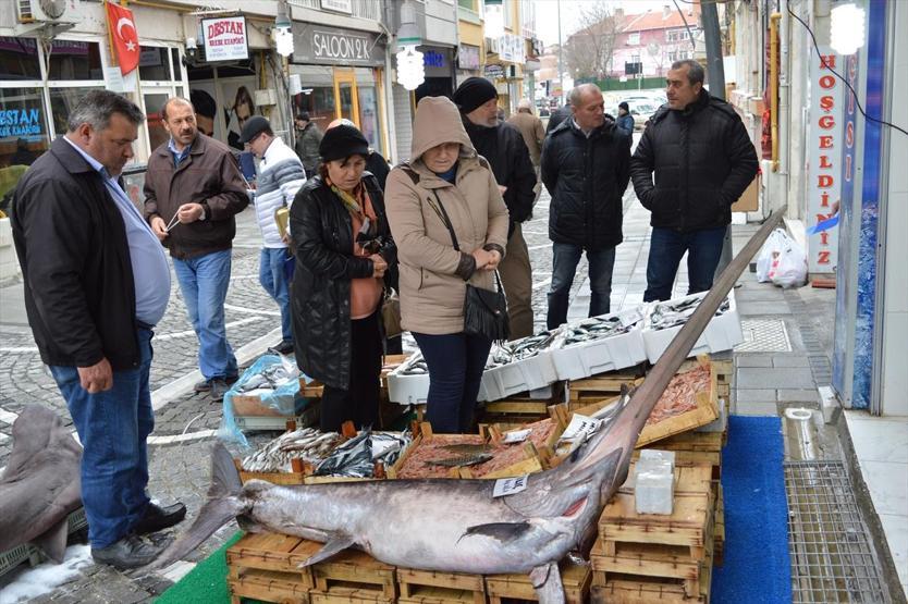 Marmarada yakalandı: 100 kilo ağırlığında