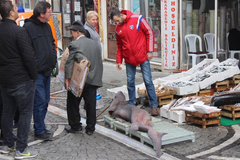 Fotoğraf çekmek için sıraya girdiler: 100 kilo ağırlığında