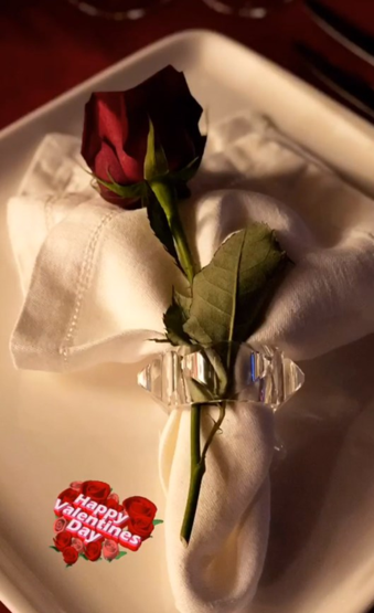 Ali Ağaoğlu 14 Şubatı Duygu Su ile kutladı