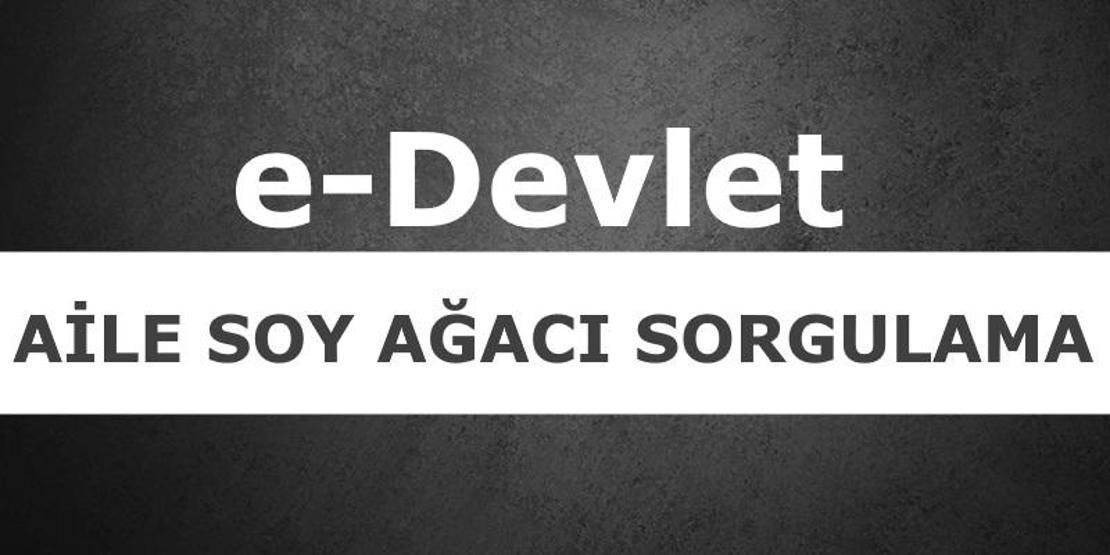 e-Devlet alt üst soy bilgisi sorgulama (aile soyağacı) nasıl yapılır