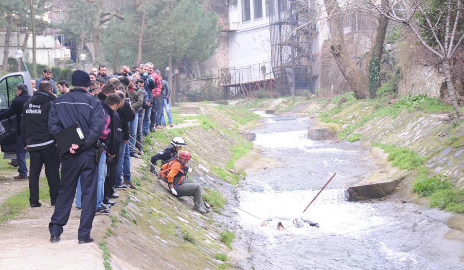Bursada derede kadın cesedi bulundu