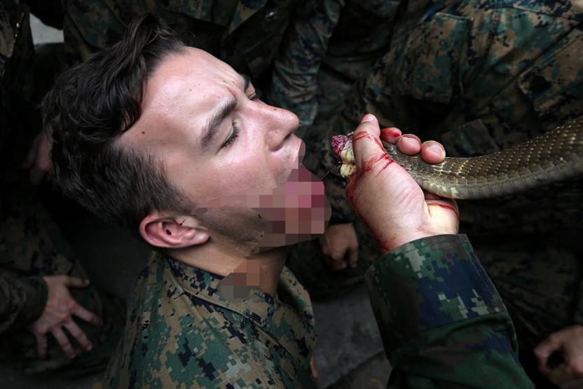 Askeri tatbikatta kobra kanı içip doğada hayatta kalmayı öğrendiler