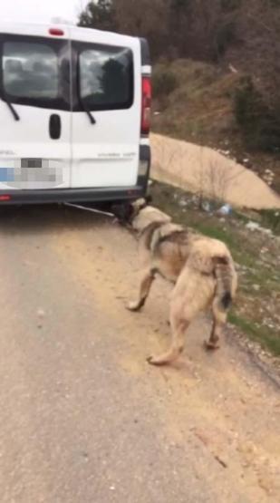 Köpeği, iple kamyonetin arkasına bağlayıp, sürükledi