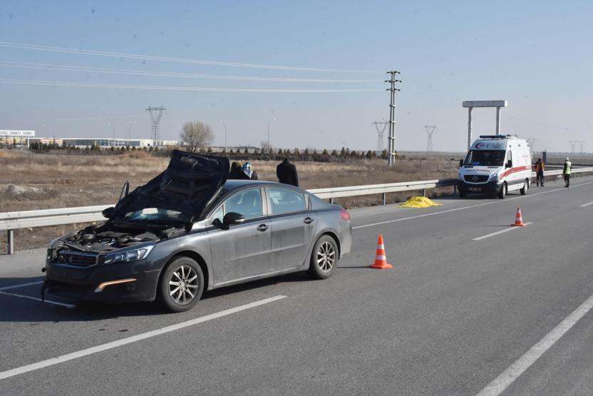 Otomobildeki aile böyle şoka girdi