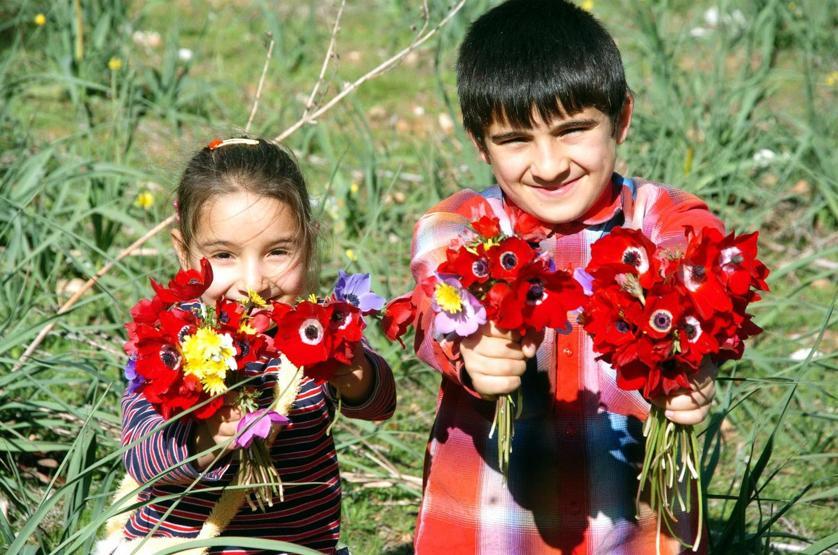Bodrumda kırlar çiçeklendi: İkinci cemre suya düştü