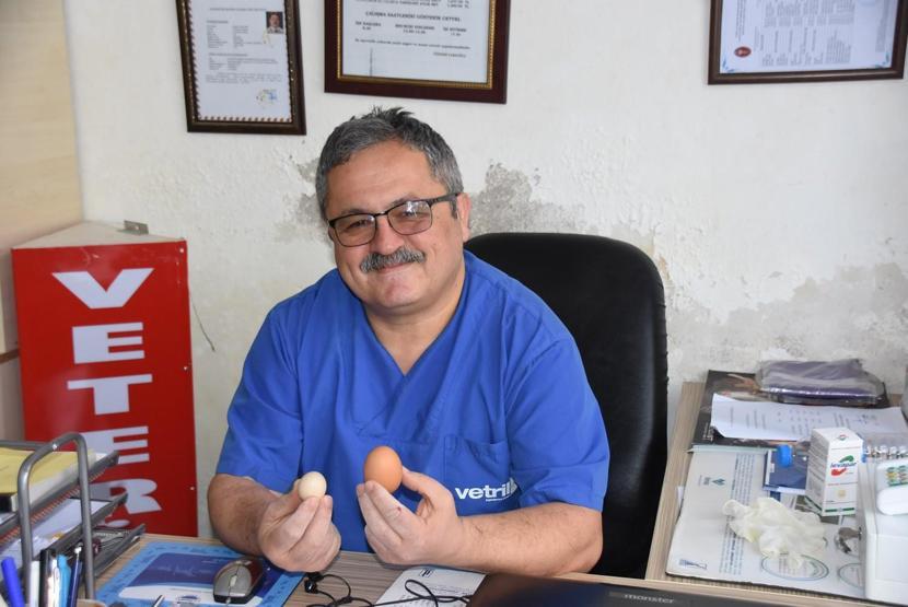 Yumurtlayan horoz şaşırttı