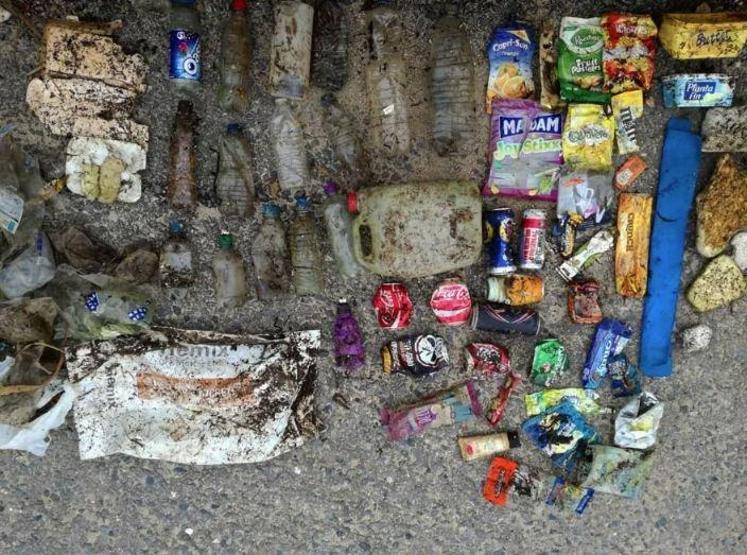 Bu da son çılgınlık Instagramda hızla yayıldı