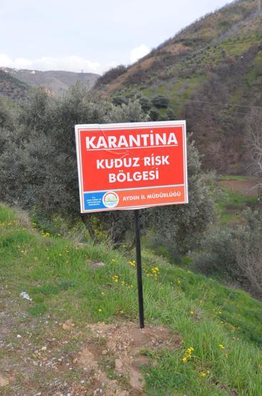Aydında bir mahalle 6 aylığına kuduz karantinasına alındı