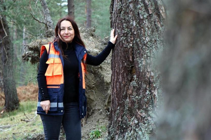 Türkiyenin en değerli ormanları kadın müdüre emanet