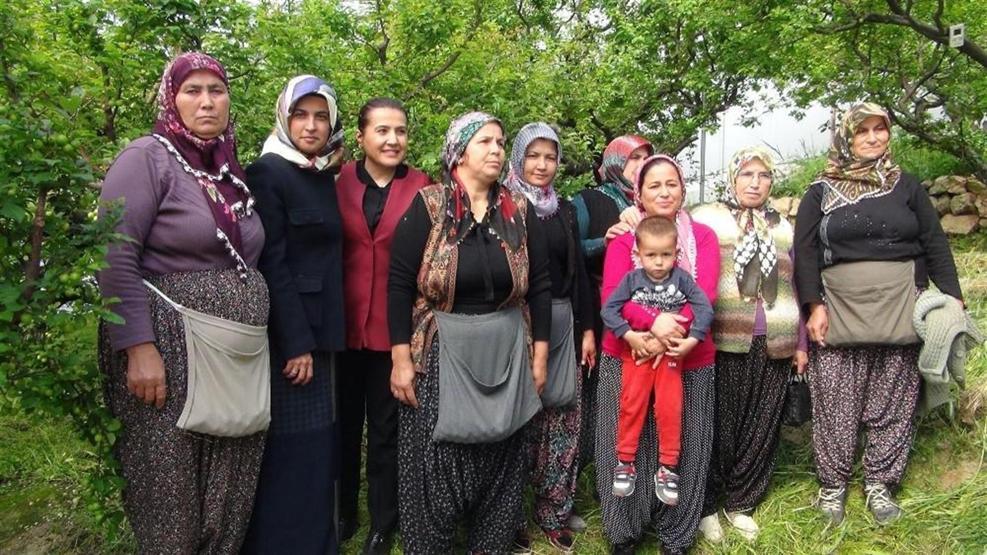 Erik hasadı başladı: İlk mahsul kilosu 150 TLden satıldı