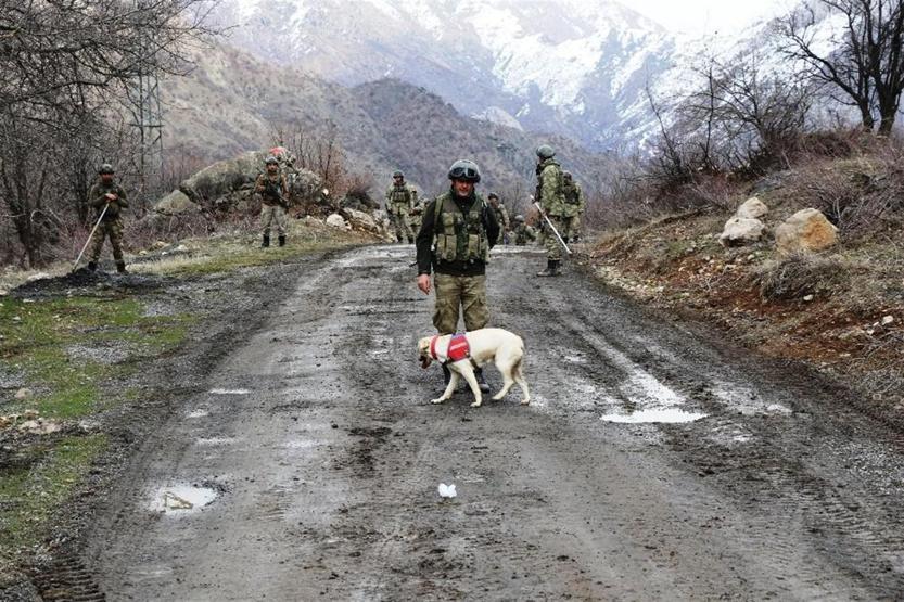 Eşek arısı’ teröristlerin kabusu oldu