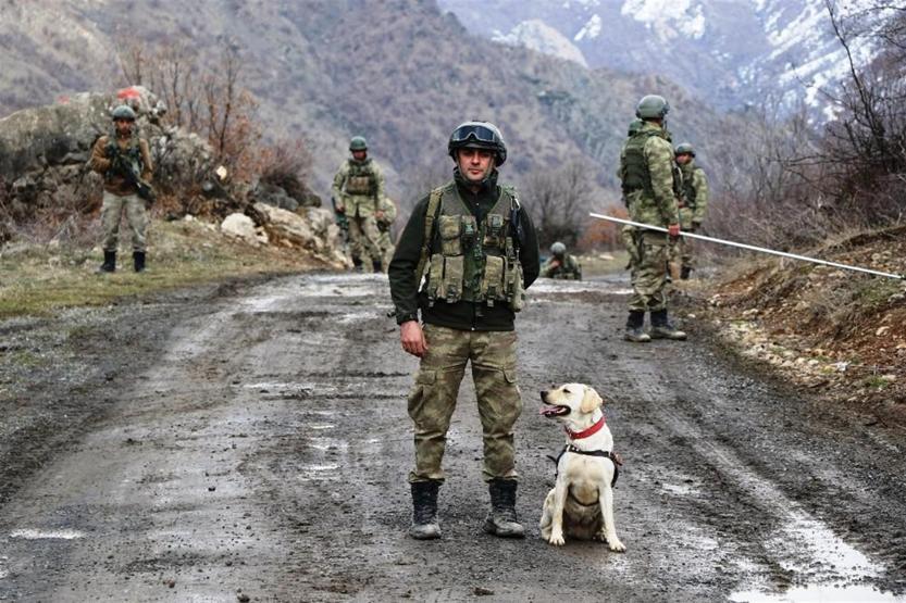 Eşek arısı’ teröristlerin kabusu oldu