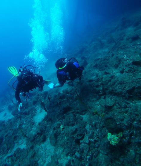 Dalış turizminin kalbi, Bodrumda atacak