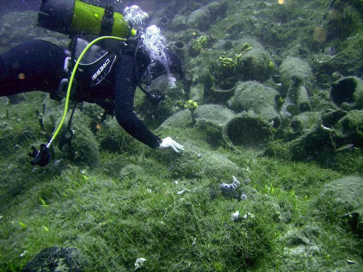 Dalış turizminin kalbi, Bodrumda atacak