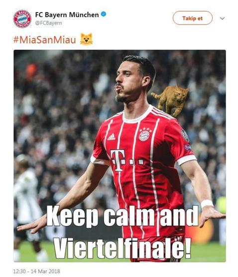 Beşiktaş - Bayern Münih maçında sahaya giren kedi geceye damgasını vurdu