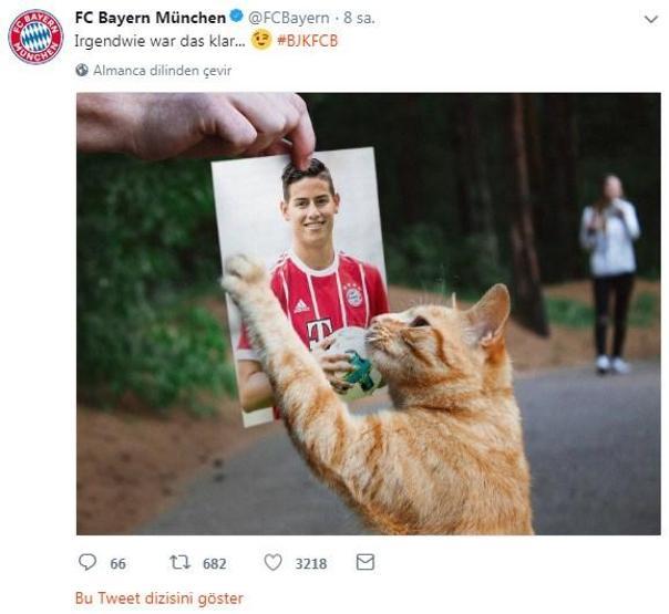 Beşiktaş - Bayern Münih maçında sahaya giren kedi geceye damgasını vurdu