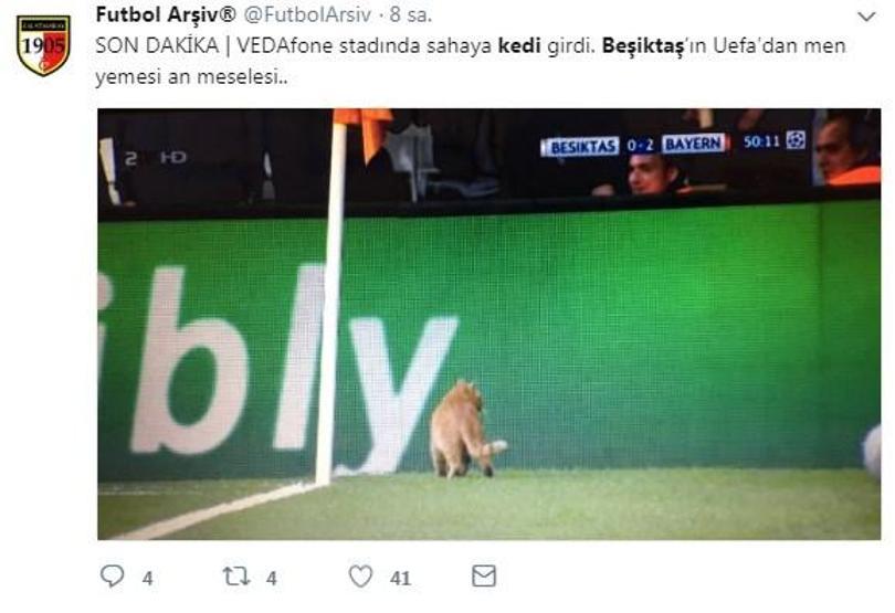 Beşiktaş - Bayern Münih maçında sahaya giren kedi geceye damgasını vurdu