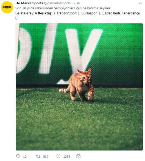 Beşiktaş - Bayern Münih maçında sahaya giren kedi geceye damgasını vurdu