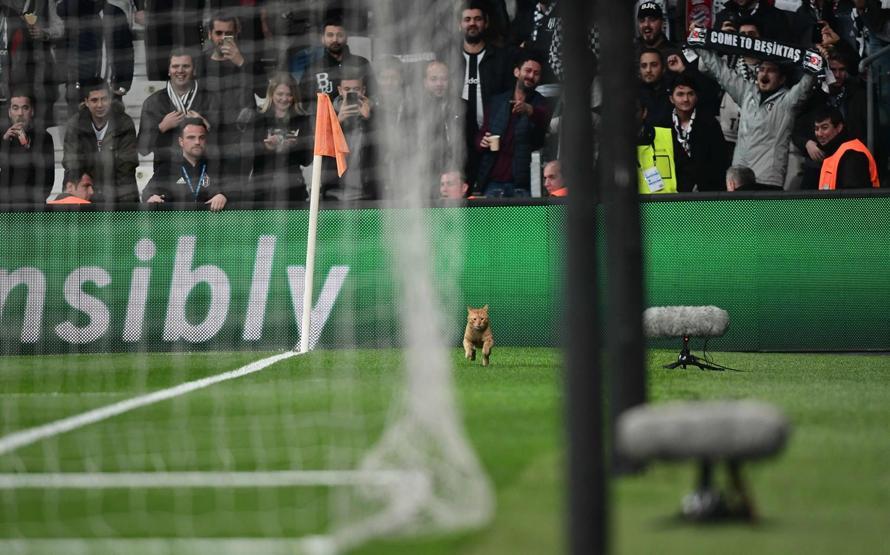 Beşiktaş UEFA Disiplin Kuruluna sevk edildi