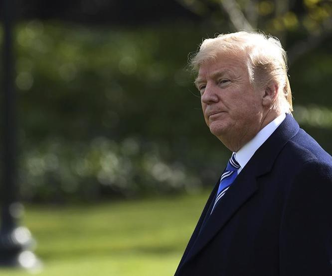 Porno yıldızından canlı yayında Trump için bomba ifadeler