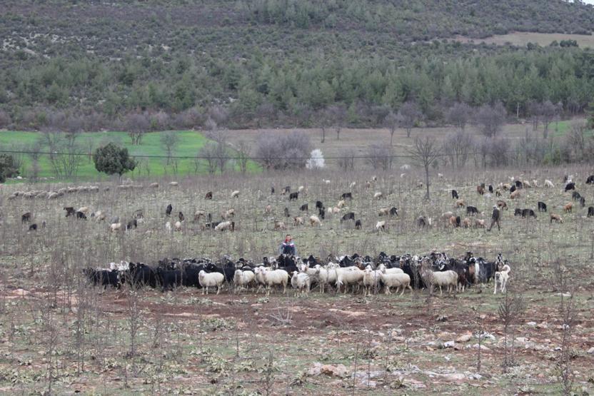 Köylülerin katı atık isyanı