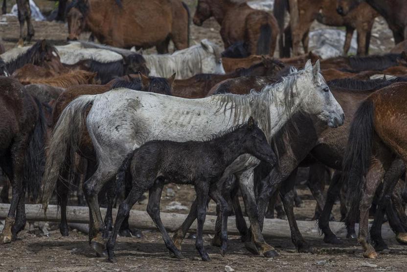 Fotoğrafçılar oraya akın ediyor