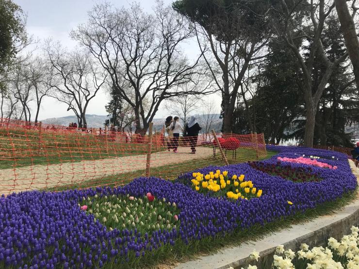 13. İstanbul Lale Festivali başladı