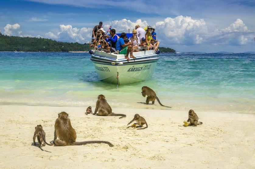 Dünyanın en ünlü plajı tarih oldu, turiste kapatılıyor