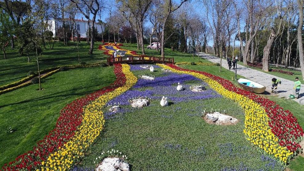 İstanbulda lale festivali başladı: Kent rengarenk oldu