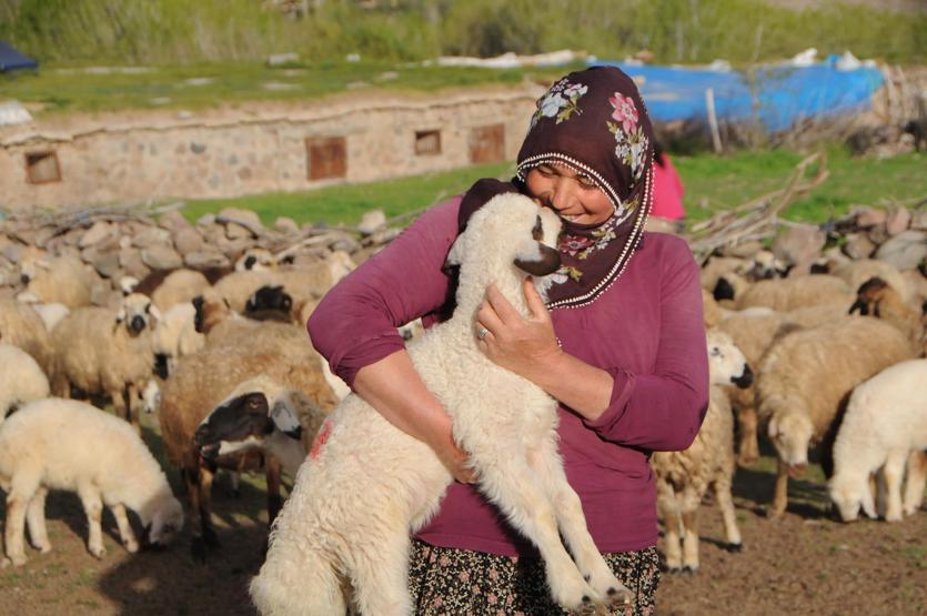 Tuncelide 6 bin lira maaşla çalışacak çoban bulunamıyor