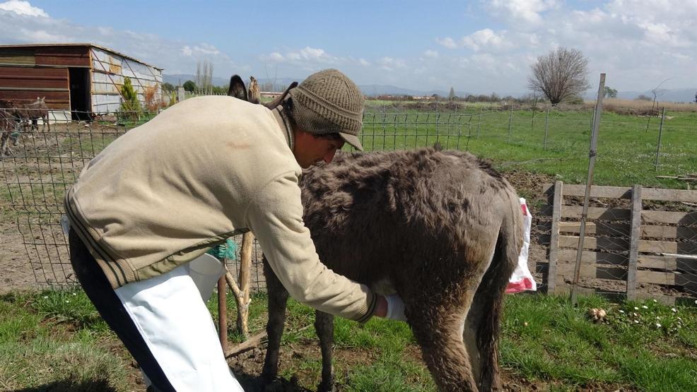 Litresi 100 TL Türkiye’nin dört bir yanına gönderiliyor