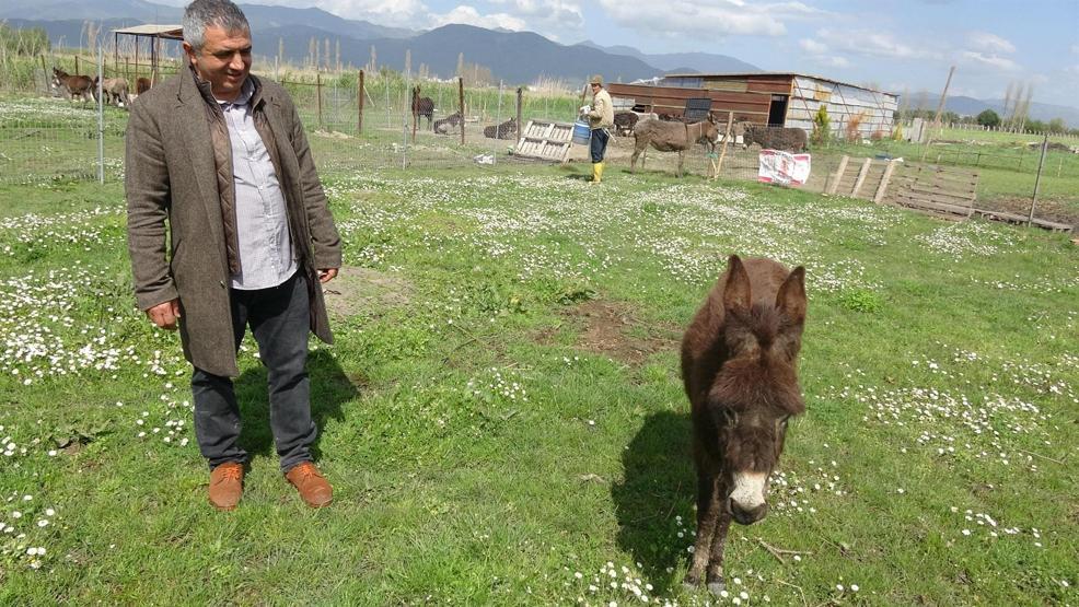 Litresi 100 TL Türkiye’nin dört bir yanına gönderiliyor