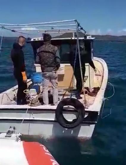 Urlada deniz patlıcanı operasyonu