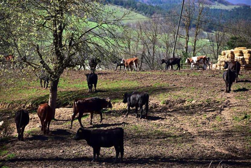 Belediye Başkanından çiftlik sahiplerine destek mesajı