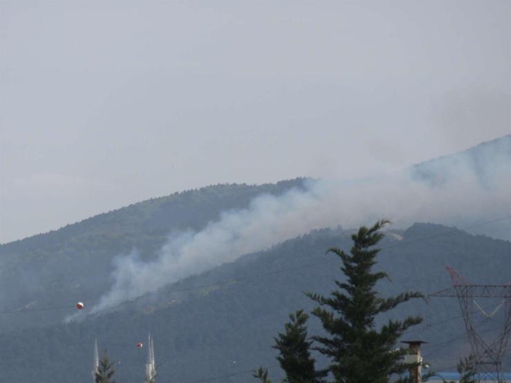 Son dakika... İstanbulda orman yangını
