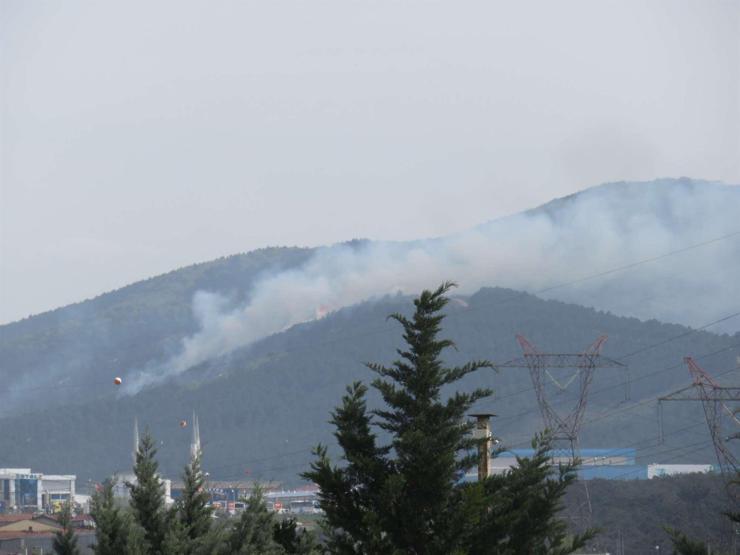Son dakika... İstanbulda orman yangını