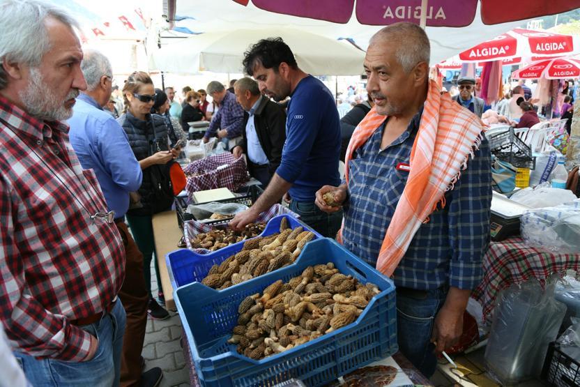 Fethiyede 10. Dastar ve Kuzugöbeği Mantar Festivali