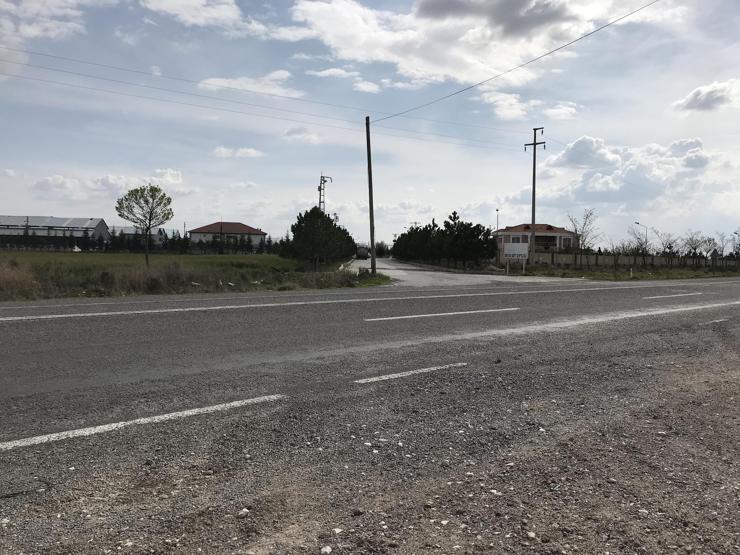 Sütbanka haciz Hayvanlara el koymaya başladılar